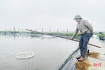 Người dân Hà Tĩnh chủ động phòng tránh rét, bảo vệ thủy sản nuôi