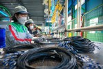 ADB dự báo kinh tế Việt Nam tăng trưởng 7,5% trong năm nay