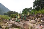 UBND tỉnh chỉ đạo tăng cường quản lý, bảo vệ rừng trước, trong và sau Tết Nguyên đán