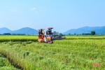 Hà Tĩnh phát triển nông nghiệp theo hướng hàng hóa quy mô lớn