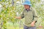 Trải nghiệm khó quên trong vườn táo trĩu quả ở Hà Tĩnh