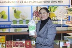Hỗ trợ phụ nữ Hà Tĩnh khởi nghiệp, phát triển kinh tế