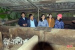 Công nghệ sinh học giải quyết hiệu quả ô nhiễm môi trường ở Hà Tĩnh