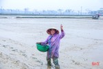 Những mầm xanh vụ mới ở Hà Tĩnh