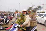 Hà Tĩnh: Nhiều người tìm mua đào, quất giá rẻ chiều 30 tết