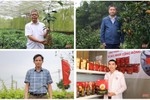 Ngày xuân nghe nông dân Hà Tĩnh kể chuyện làm nông nghiệp hiện đại