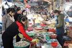 Hải sản ở Hà Tĩnh sau tết: Hàng đa dạng, giá vẫn cao ngất ngưởng!