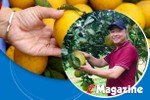 Giám đốc hợp tác xã ở Hà Tĩnh “mê” làm nông nghiệp hữu cơ