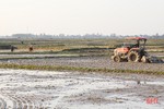 Hà Tĩnh gieo cấy xong trên 45.000 ha lúa xuân