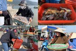 Ngư dân Hà Tĩnh thắng lớn những chuyến biển đầu năm