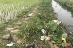 Lại “tiện đâu vứt đấy” vỏ bao thuốc BVTV trên nhiều cánh đồng ở Hà Tĩnh