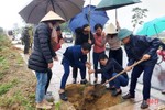 Can Lộc trồng mới hơn 84.200 cây xanh