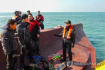 Thông tin mới nhất vụ 2 công dân Việt mất tích do chìm tàu tại Hàn Quốc