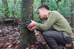 Lắp 85 điểm bẫy ảnh giám sát đa dạng sinh học tại Vườn Quốc gia Vũ Quang