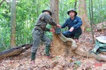 Lắp 25 điểm bẫy ảnh giám sát đa dạng sinh học trong “Vườn di sản ASEAN” ở Hà Tĩnh