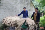 Nông dân Can Lộc nâng cao thu nhập từ nghề nuôi ong lấy mật