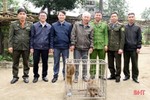 Bàn giao 3 cá thể khỉ quý hiếm cho Vườn Quốc gia Vũ Quang