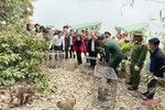 Vườn Quốc gia Vũ Quang tái thả 43 cá thể động vật hoang dã về môi trường