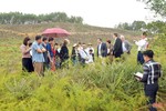 Nghị sỹ Quốc hội CHLB Đức tham quan một số mô hình nông nghiệp tại Hà Tĩnh