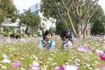 Mê mẩn ngôi trường làng ngập tràn sắc hoa ở Hà Tĩnh