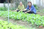 “Thủ lĩnh” hội phụ nữ xã ở Hà Tĩnh tâm huyết huy động hỗ trợ hoàn cảnh khó khăn