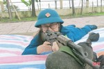 Nâng cao chất lượng huấn luyện lực lượng dân quân tự vệ ở Hà Tĩnh