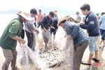 Các tổ lưới rùng của ngư dân Thịnh Lộc vào mùa khai thác hải sản