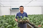 Cận cảnh mô hình trồng hoa lan hồ điệp đầu tiên ở Hà Tĩnh