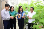 Quỹ Hỗ trợ nông dân Hà Tĩnh cho vay 71 dự án tại các xã