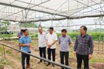 Xây dựng nông nghiệp TP Hà Tĩnh theo hướng đa giá trị, sinh thái bền vững