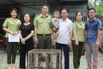 Bàn giao cá thể khỉ mặt đỏ cho Vườn Quốc gia Vũ Quang