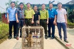 Vườn Quốc gia Vũ Quang tiếp nhận 2 cá thể khỉ quý hiếm