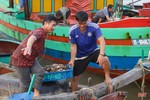 Ngư dân Hà Tĩnh nô nức bám biển, cung ứng hải sản tươi ngon dịp lễ