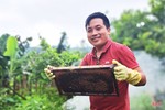 Về Hà Tĩnh, khám phá trại nuôi ong của cựu du học sinh Úc