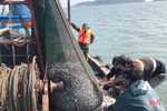 Xử lý nghiêm các vi phạm trong khai thác hải sản ở Hà Tĩnh