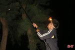 Người dân Nghi Xuân đội đèn săn “đặc sản” bọ vừng