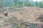 Hạt Kiểm lâm Vũ Quang nói gì khi trên địa bàn liên tiếp xảy ra phá rừng?