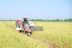 Can Lộc khắc phục hàng trăm ha lúa bị đổ, tập trung thu hoạch vụ xuân