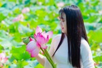 Ngát thơm mùa sen đầu hạ ở Hà Tĩnh