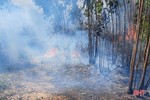 Lộc Hà huy động 450 người dập tắt cháy rừng trên núi Hồng Lĩnh