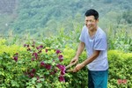 Lan toả việc học và làm theo Bác ở huyện miền núi Vũ Quang