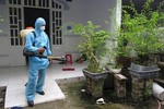 Anh Thư - dịch vụ diệt côn trùng gây hại uy tín, chuyên nghiệp