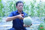 Nông dân Hương Khê xây dựng hơn 2.500 mô hình kinh tế trong 5 năm
