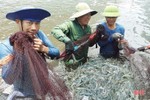 Lộc Hà phát huy lợi thế vùng biển cửa trong sản xuất ngư nghiệp