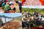 Chuyện “giải cứu” 10.000 con gà chết ngạt và tình người trong cơn hoạn nạn