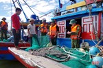 Phạt 25 triệu đồng chủ tàu cá đánh bắt trái phép