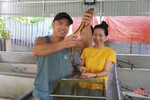 Vợ chồng trẻ về quê xây dựng mô hình nuôi lươn không bùn