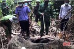 Tiếp cận hiện trường phát hiện xác voi ở Hương Sơn