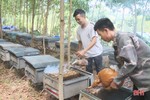 Rong ruổi cùng người nuôi ong du mục giữa núi rừng Hà Tĩnh