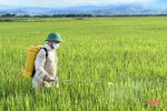 Cơ quan chuyên môn hướng dẫn phòng trừ sâu bệnh hại lúa hè thu ở Hà Tĩnh